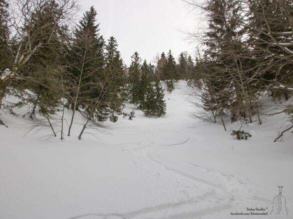 Schneise auf der Nordseite des Sulten