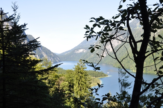 Immer wieder blitzt er beim Abstieg durch den Blätterwald - der Königsee
