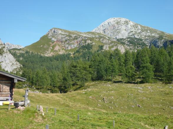 auf der Gotzenalm, mit Laafeld und Kahlersberg