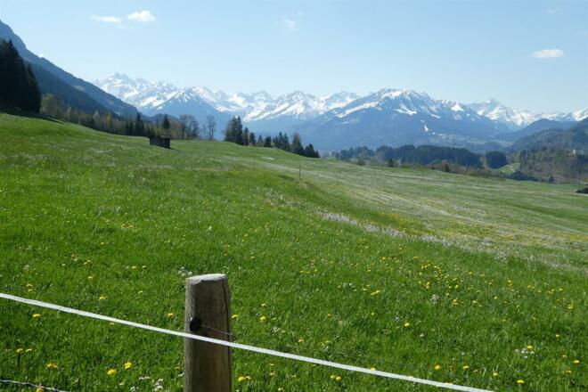 Schneebedeckte Gipfel und Blumenwiese