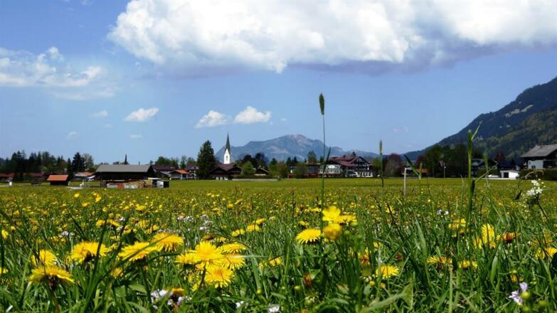 Fischen im schönen Allgäu