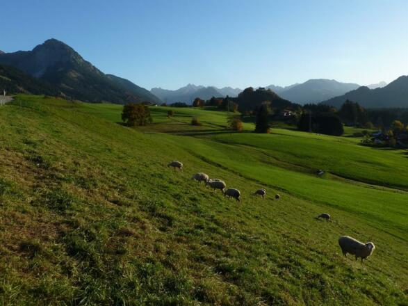 Umgebung oberhalb Fischen Au