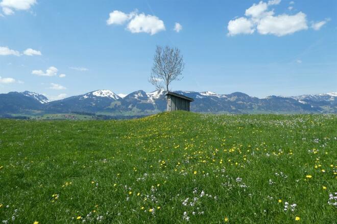 Schneebedeckte Gipfel und Frühlingswiese