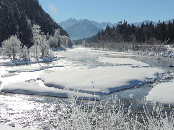 Blick auf die Iller vom südlichen Ende des Auwaldsees