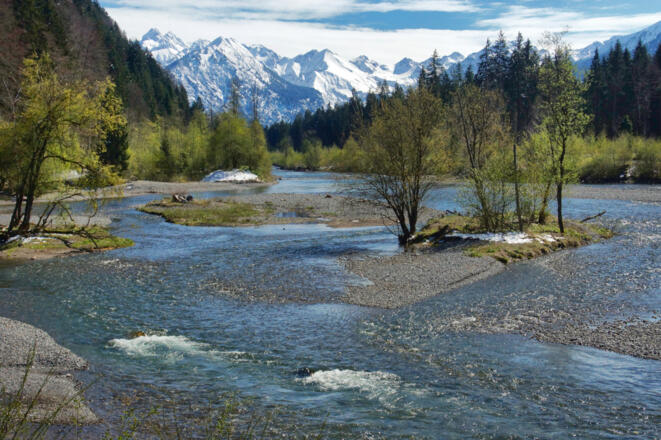 Auwaldsee im Frühling