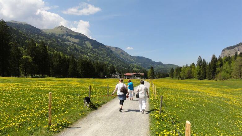 Wandern in den Bergen