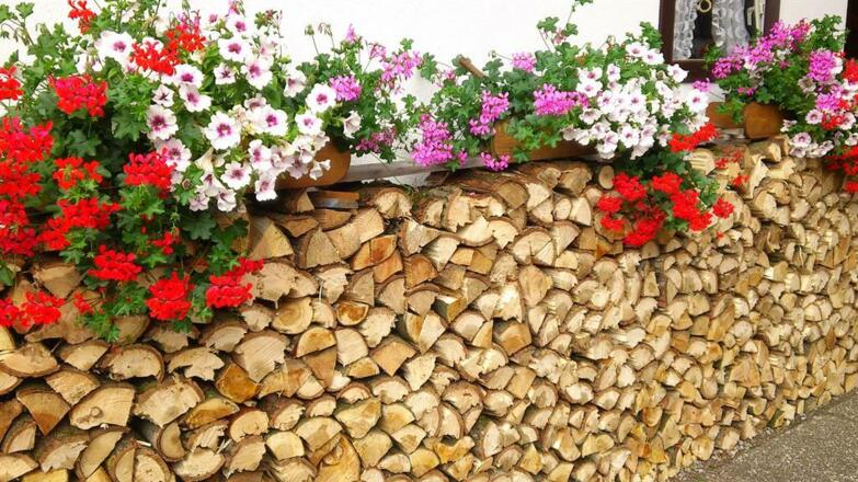 Holz vor der Hütt&#039;n