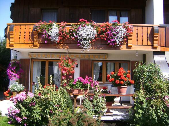 Blütenpracht bei Frau Schwarz in Fischen