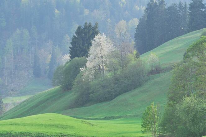 Landschaft Obermaiselstein 3