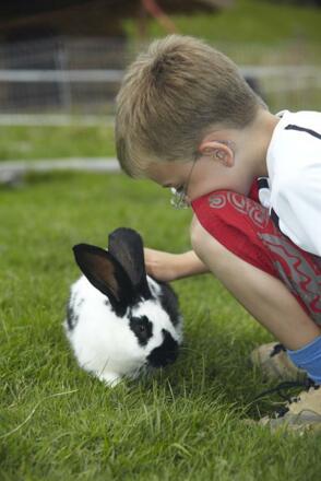 Kind bei den Kleintieren 3