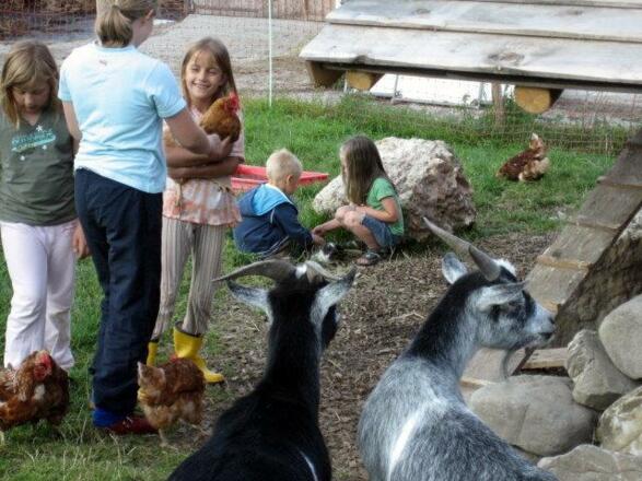 Kinder bei den Kleintieren