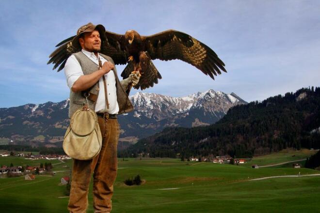 Wildpark - Steinadler - 0792 - Kopie---01