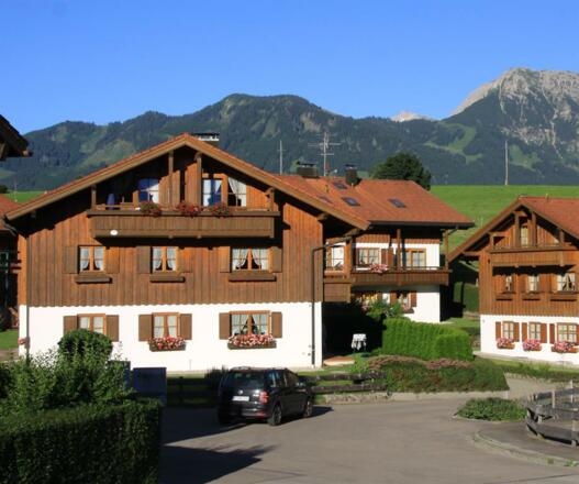 IMG_8648_b_ausschnitt