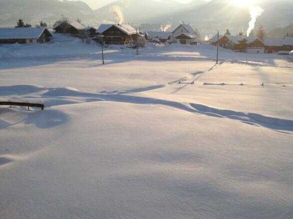 Blick von der Fewo nach Osten