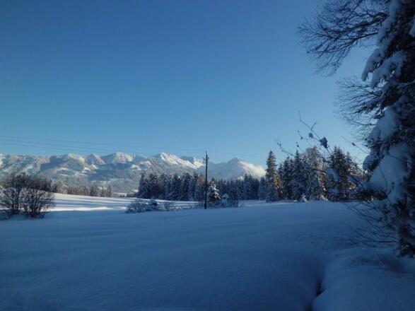 Winterlandschaft am Schweineberg