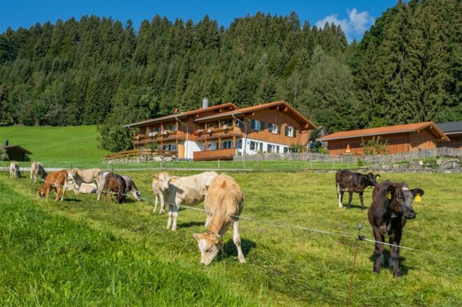 Schneider Huettenberg FEWO-011 - Kopie