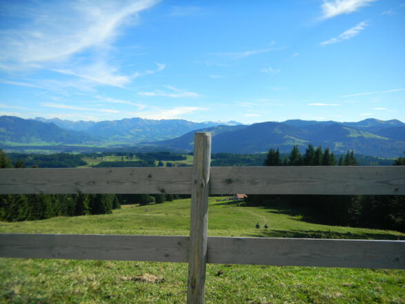 Herbst_2010_071010 003