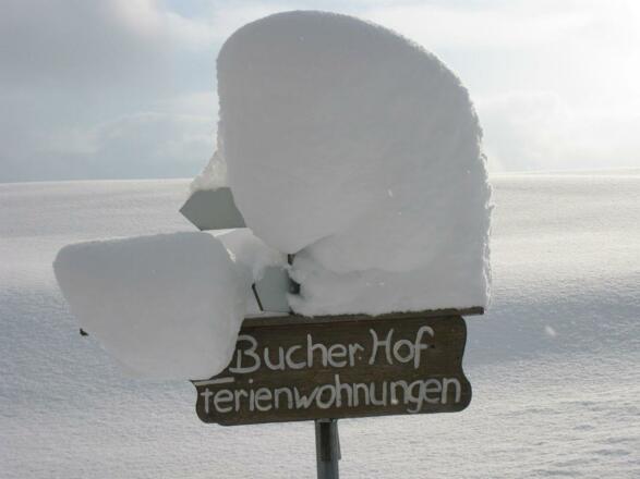 Hier entlang in den Urlaub