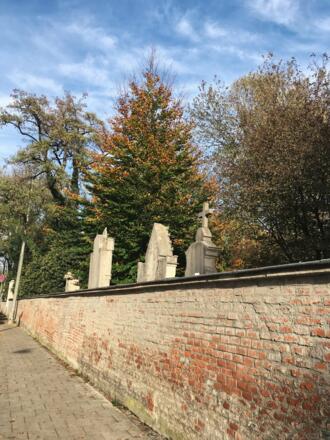 Entlang des Alten Südfriedhofs