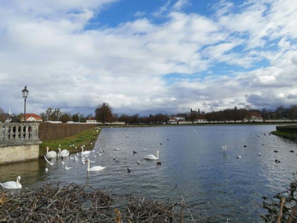 Schloss Nymphenburg See und Allee