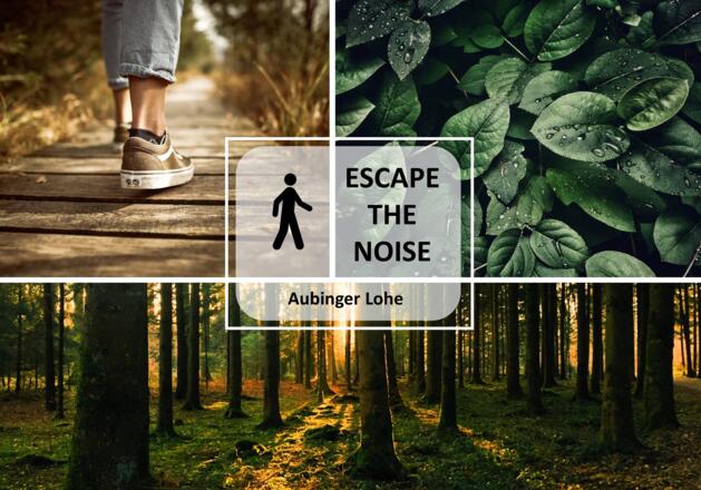 Feierabend-Spaziergang: Aubinger Lohe