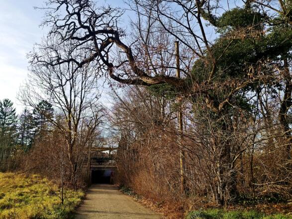 Bahnunterführung Feldmoching 