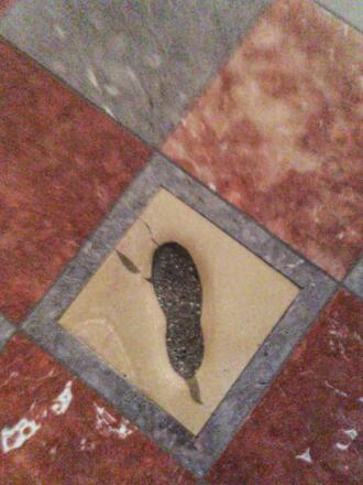 Frauenkirche Teufelstritt