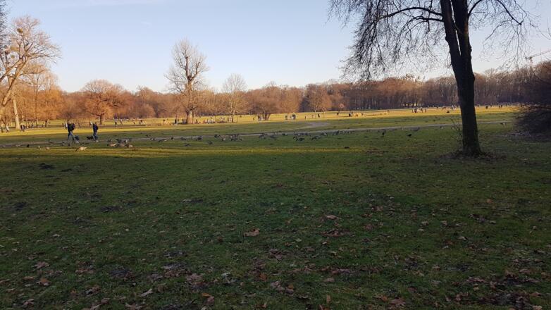 Gänse im Englsichen Garten