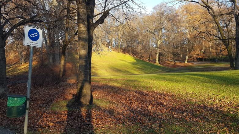 Rodelhügel am der Museumsinsel