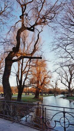 Brücke am Schwabinger Bach im Englischen Garten