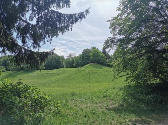 Teufelsberg in der Aubinger Lohe