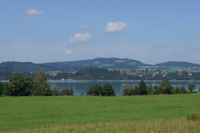 Blick auf den Forggensee