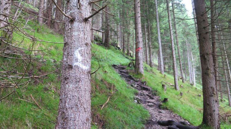 Aufstieg zur Costarieskapelle