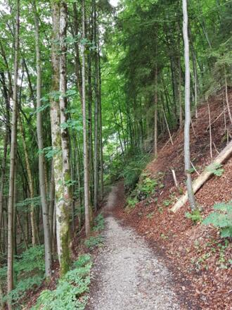 Fischersteig zum Schwansee