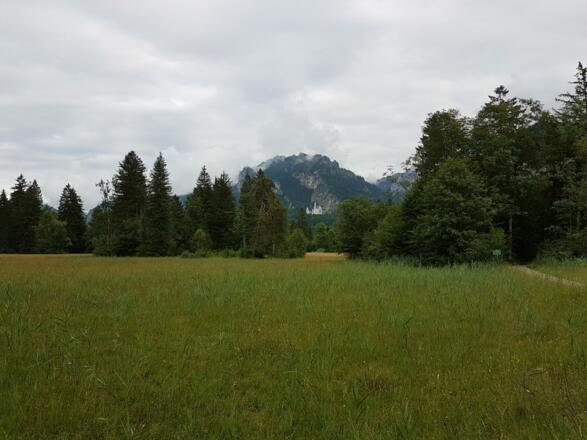Blick vom Schwanseepark auf Schloss Neuschwanstein