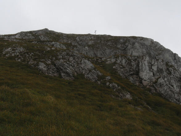 Blick von der Gamswiese auf den Gipfel