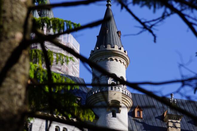 Blick zum Schloss Neuschwanstein