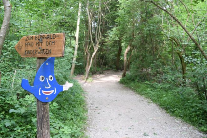 Beschilderung des Auwaldpfades im Walderlebniszentrum Ziegelwies