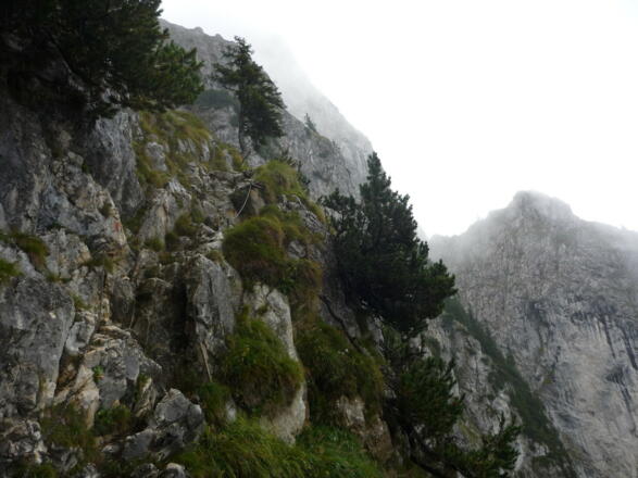 Drahtseilgesicherte Stufe