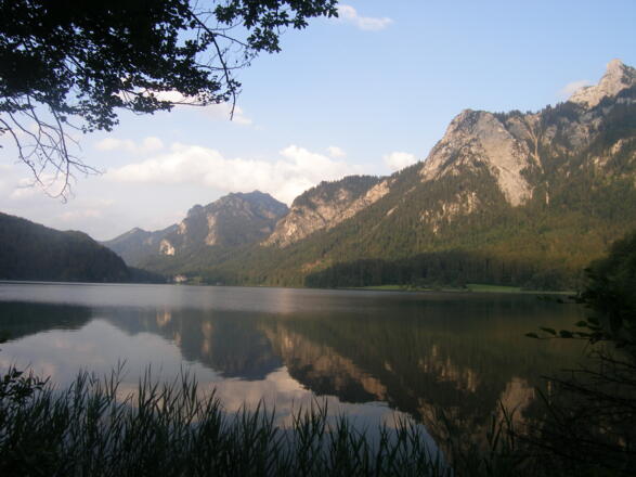 Blick von Norden auf den Alpsee