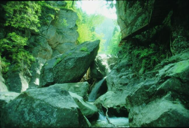 Die Pöllatschlucht (Bellatschlucht): ein Schlupfloch ins Gebirge.