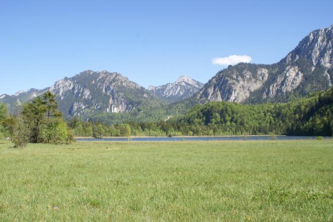 Der Schwanseepark mit Blick auf den Schwansee und Schloss Neuschwanstein