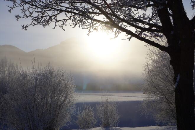 Sonnenaufgang Brunnen