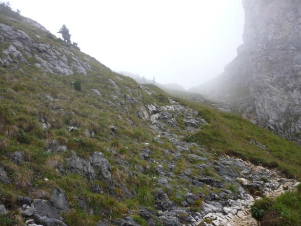 Felsdurchsetzte Stufe oben