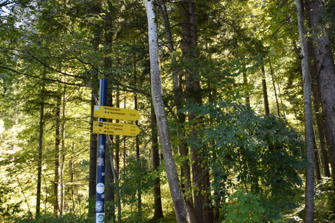 Beschilderung zur Pöllatschlucht
