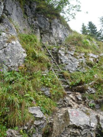 Leiter in der steilen Flanke des Säuling