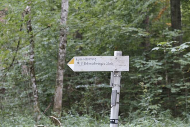 Beschilderung &quot;Alpsee-Rundweg&quot;