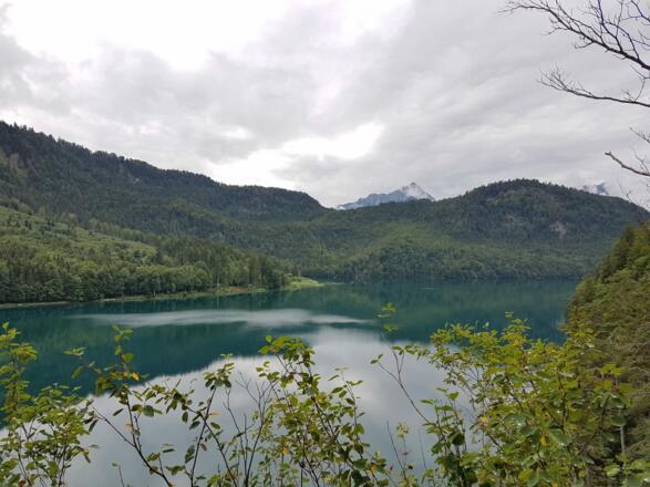 Blick vom Pindarplatz  auf den Alpsee