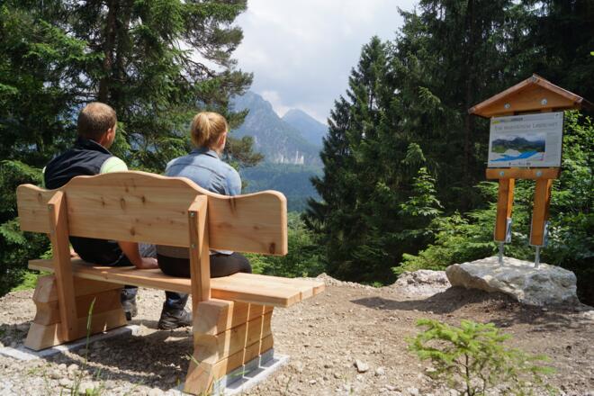 Blick in Richtung Schloss Neuschwanstein