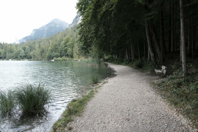 Alpsee-Rundweg direkt am See